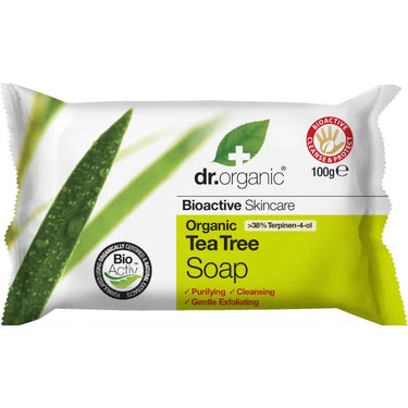 https://cdn.shopify.com/s/files/1/1857/6931/products/F0pdV1etjs.jpg?v=1660826880